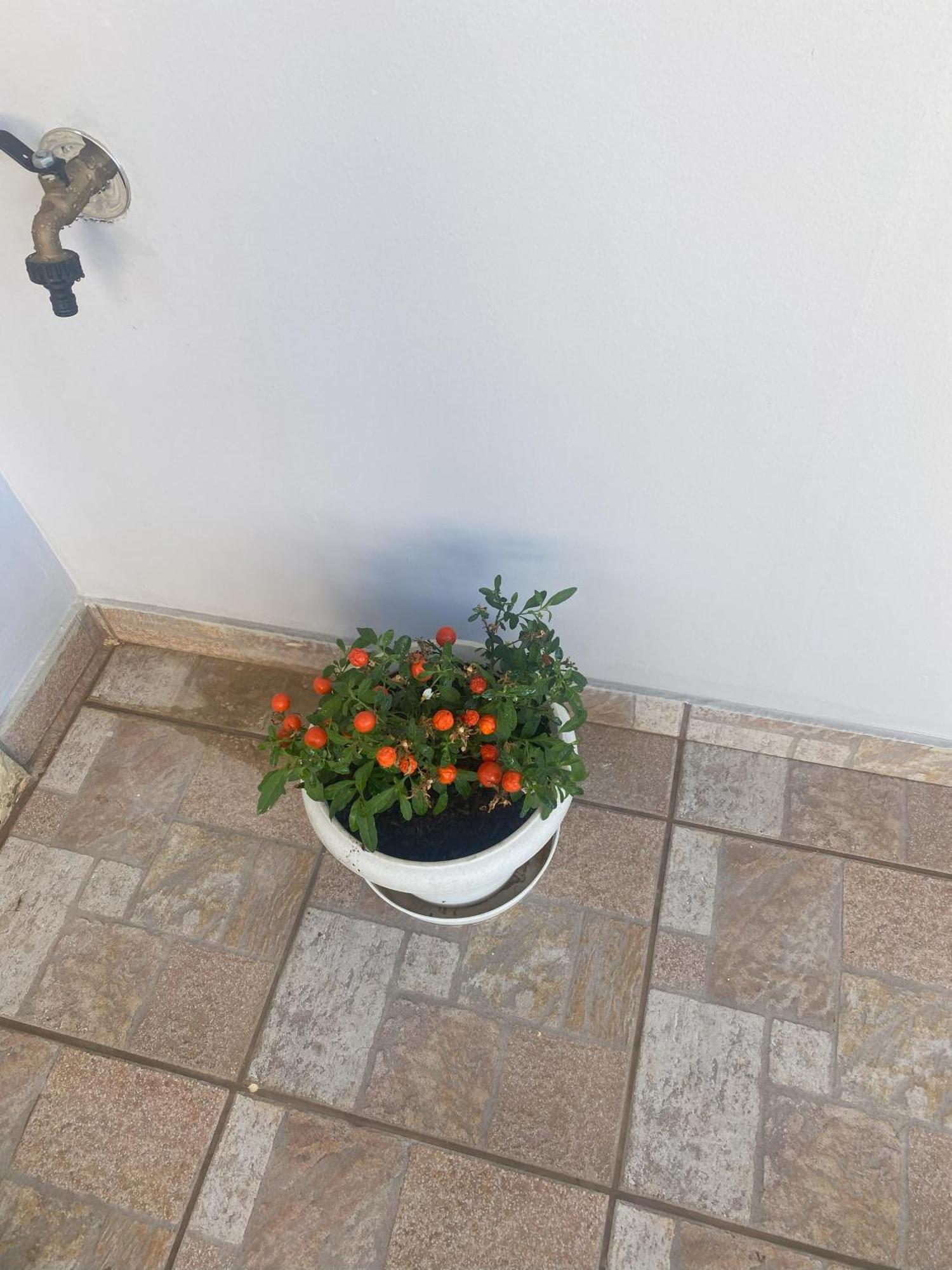 New Unique Apartment In Heraklion Luaran gambar