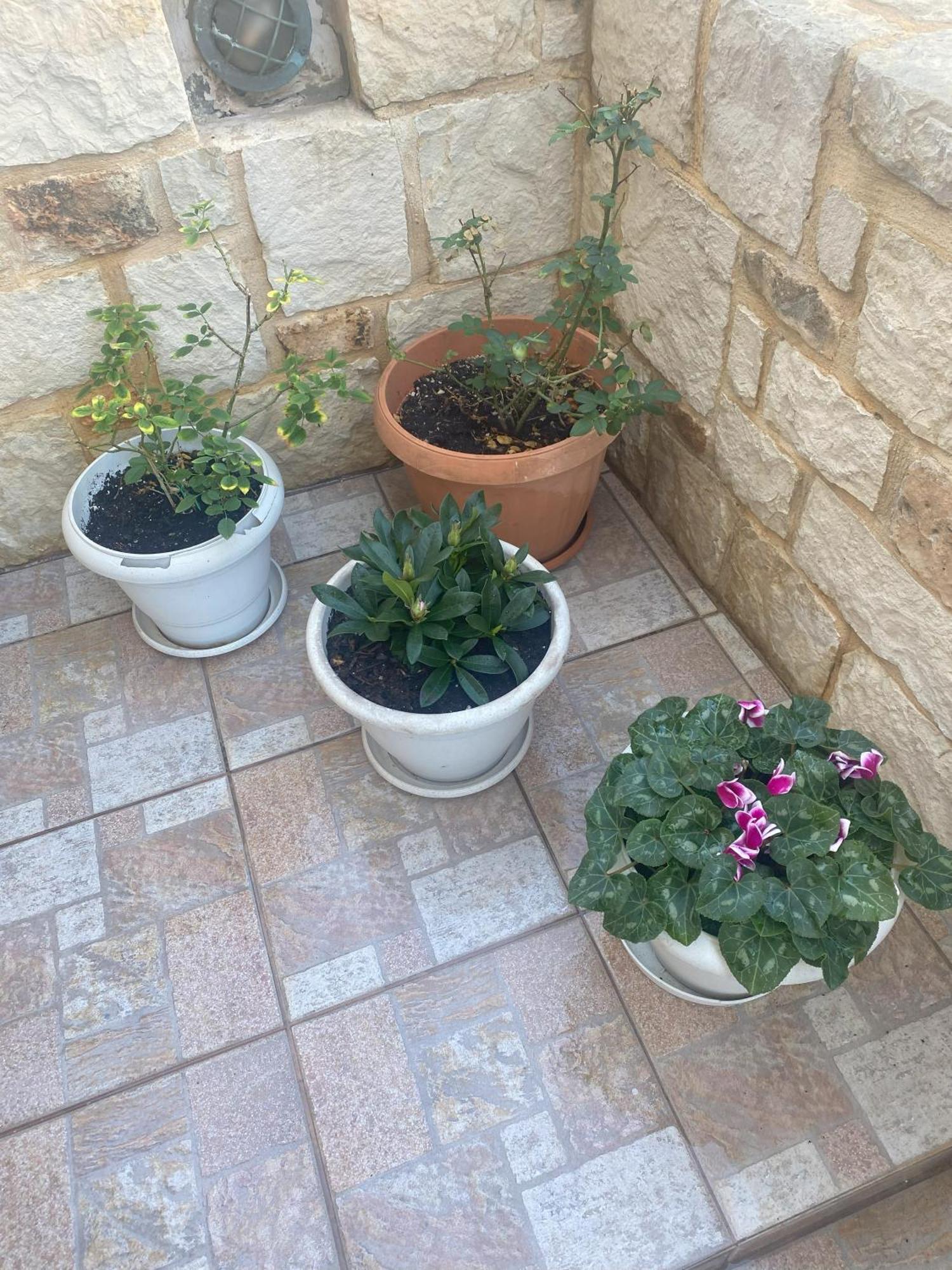 New Unique Apartment In Heraklion Luaran gambar